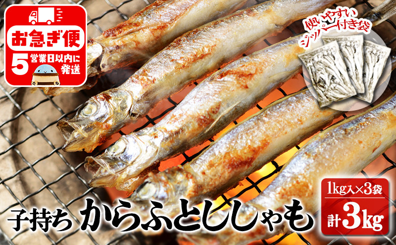 
                  A1-1809／冷凍 子持ち からふとししゃも 3kg（1kg×3袋）
                