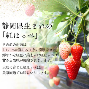 【先行予約＿2026年出荷分】いちご 紅ほっぺいちご 280g×4パック