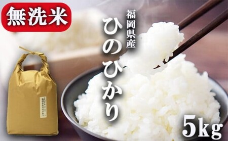 R7年度産 無洗米 5kg 福岡県産 ひのひかり　米 白米 コメ 福岡県 お米 ご飯 ごはん ヒノヒカリ国産 国産米 グルメ 食品
