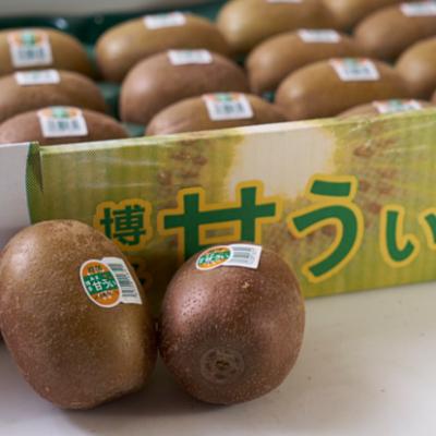 ふるさと納税 大牟田市 福岡オリジナルブランド　キウイ「甘うぃ」約1.5kg箱(12-15玉)(大牟田市) |  | 01
