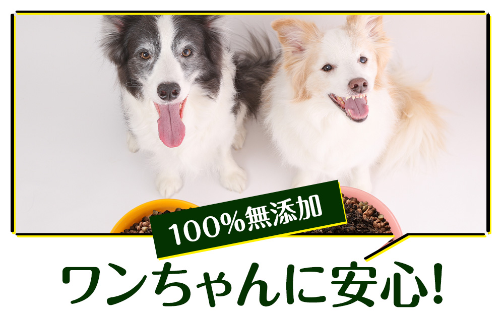 犬 おやつ 鹿肉 無添加 国産 エゾシカ 肉 100％ 粗挽きふりかけ 160g (80g×2) 定期便6回 ペット 餌 エサ 浜頓別 北海道