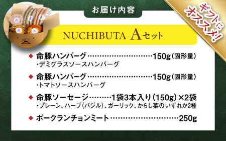『NUCHIBUTA Aセット』 豚肉 ハンバーグ ソーセージ 詰め合わせ お取り寄せ 国産 ギフト 冷凍 沖縄市 / DELICATESSEN NUCHIBUTA[BCAR003]
