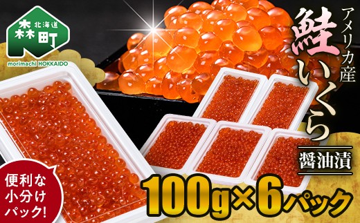 
            ＼100gの小分けが便利！／鮭 いくら 小分け 600g（100g×6）アメリカ産 ＜海鮮問屋　株式会社　瑞宝＞ いくら醤油漬け いくら イクラ しょうゆ漬け 海産物 加工品 森町 ふるさと納税 北海道 mr1-1236
          
