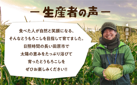 《期間限定》先行予約 平均糖度20度以上 極甘とうもろこし 10本 鮮度保持袋入り