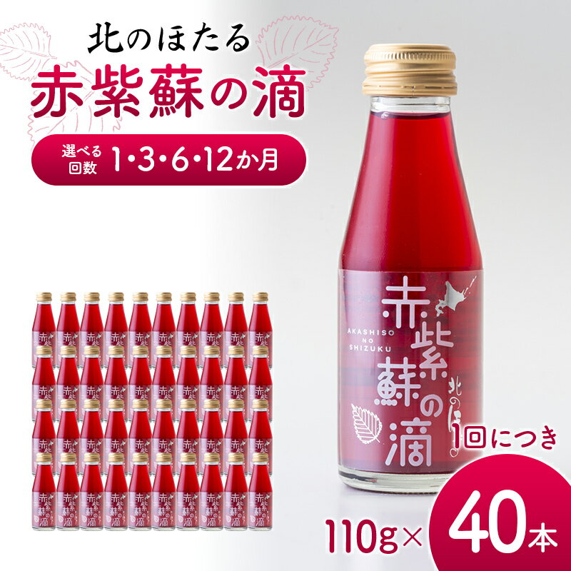 【ふるさと納税】＼選べる回数／ 赤紫蘇の滴110g×40本 1回 定期便 3か月 6か月 12か月 赤紫蘇 紫蘇ジュース しそ しそドリンク 北海道産 健康ドリンク しそジュース 赤しそ クエン酸 健康 美容 健康飲料 無添加風味 北のほたる 沼田町 北海道 n-0212var
