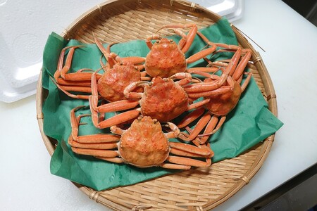 間人漁港仲買人の丸友鮮魚三代目・自慢の間人産セコガニ≪茹で≫10匹セット（1匹130g以上）