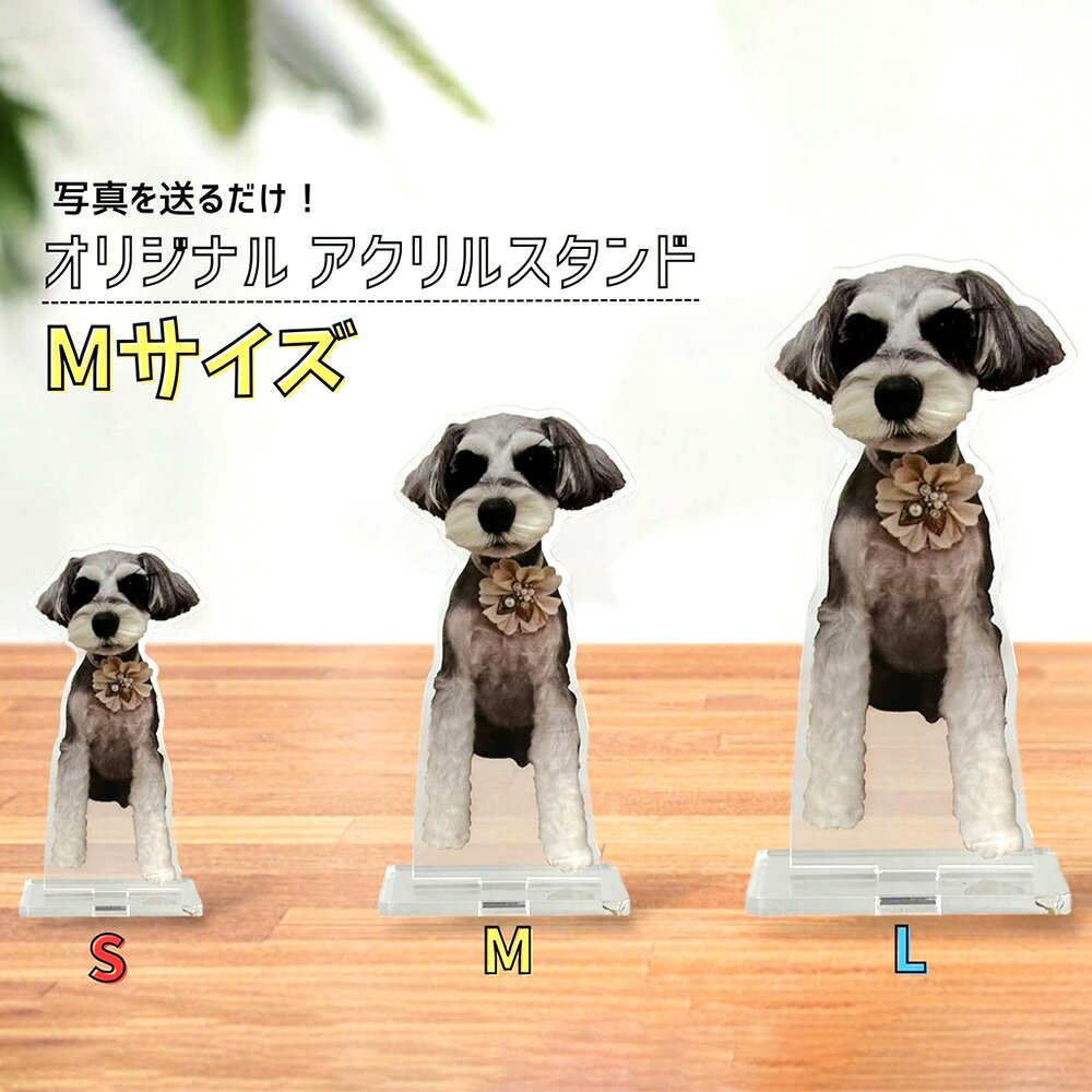 【ふるさと納税】写真で作る　オリジナル　アクリルスタンド　Mサイズ ／ アクスタ オリジナルアクスタ 写真アクスタ 子ども写真 ペット写真 ペットグッズ 写真グッズ オーダーメイド 記念ギフト プレゼント インテリア 卓上 持ち運び イベント 埼玉県 No.606