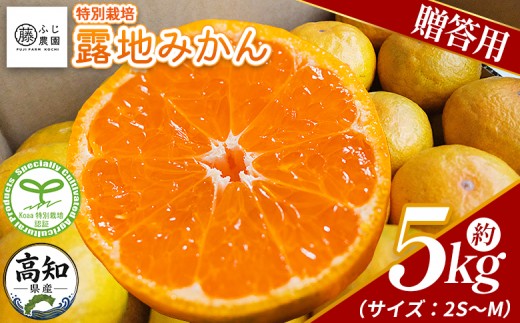 【2026年10月以降順次配送分】ふじ農園の露地みかん 贈答用 5kg (2S～M) - みかん 温州みかん 国産 蜜柑 ミカン 柑橘 果物 フルーツ 贈答 プレゼント ギフト 贈り物 ふじ農園 高知県 香南市 常温 fn-0010