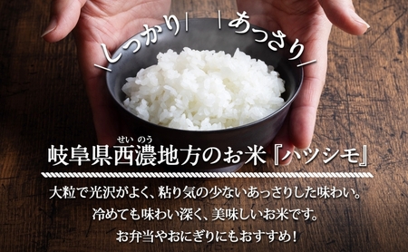 定期便 全12回 岐阜県 揖斐川町産 令和6年 ハツシモ  高橋米 10kg 1袋 お米 精米 白米 米 ごはん ご飯 はつしも あっさり  ブランド米 10キロ 大粒 幻の米 高橋ファーム Taka
