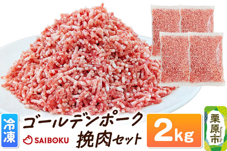 肉 豚 【冷凍】ゴールデンポーク 挽肉 2kg セット 257016R