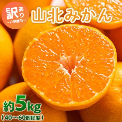 ふるさと納税 香南市 みかん小玉大玉混合3kg 温州みかん 訳あり 家庭用 山北 約5kg yk-0076