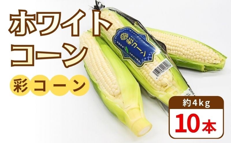 
            先行予約 【白いとうもろこし】 彩コーン 約4kg 10本 《2026年6月～7月発送》 ホワイトコーン とうもろこし コーン スイートコーン 朝食 昼食 夕食 デザート 甘い 国産 スイーツ おやつ 糖度 野菜 新鮮 産地 直送 人気 おすすめ ふるさと納税 京都 八幡 八幡市 ふるさと農園
          