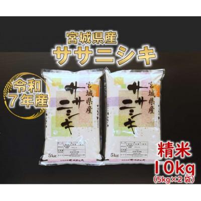 ふるさと納税 村田町 令和7年産 ササニシキ 精米10kg(5kg×2) 宮城県産