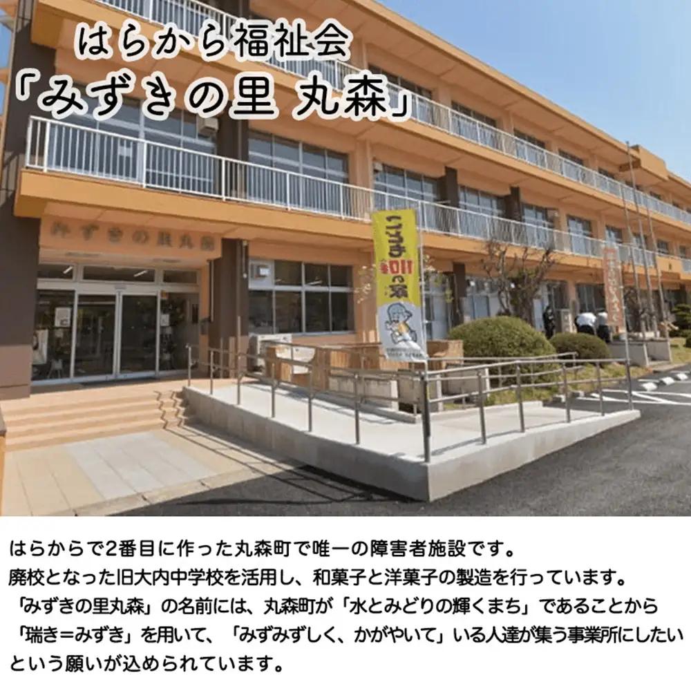 プロテインバー ストロベリー味（2本入り×12袋）【18121】