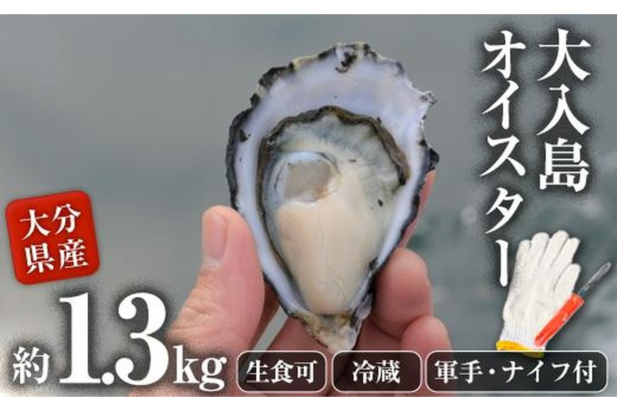 真ガキ 大入島オイスター (約1.3kg) 牡蠣 かき カキ 貝 海鮮 魚介類 冷蔵 生食可 シングルシード 養殖 大分県 佐伯市【ED08】【(合)新栄丸】