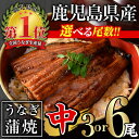 【ふるさと納税】＜尾数が選べる！＞鹿児島県産うなぎ蒲焼セット＜中＞(計330g～計660g・ 約110g×3尾～6尾) タレ・山椒付き 鰻 ウナギ 6尾 うな重 ひつまぶし かばやき 九州産 国産 冷凍 【西日本養鰻】