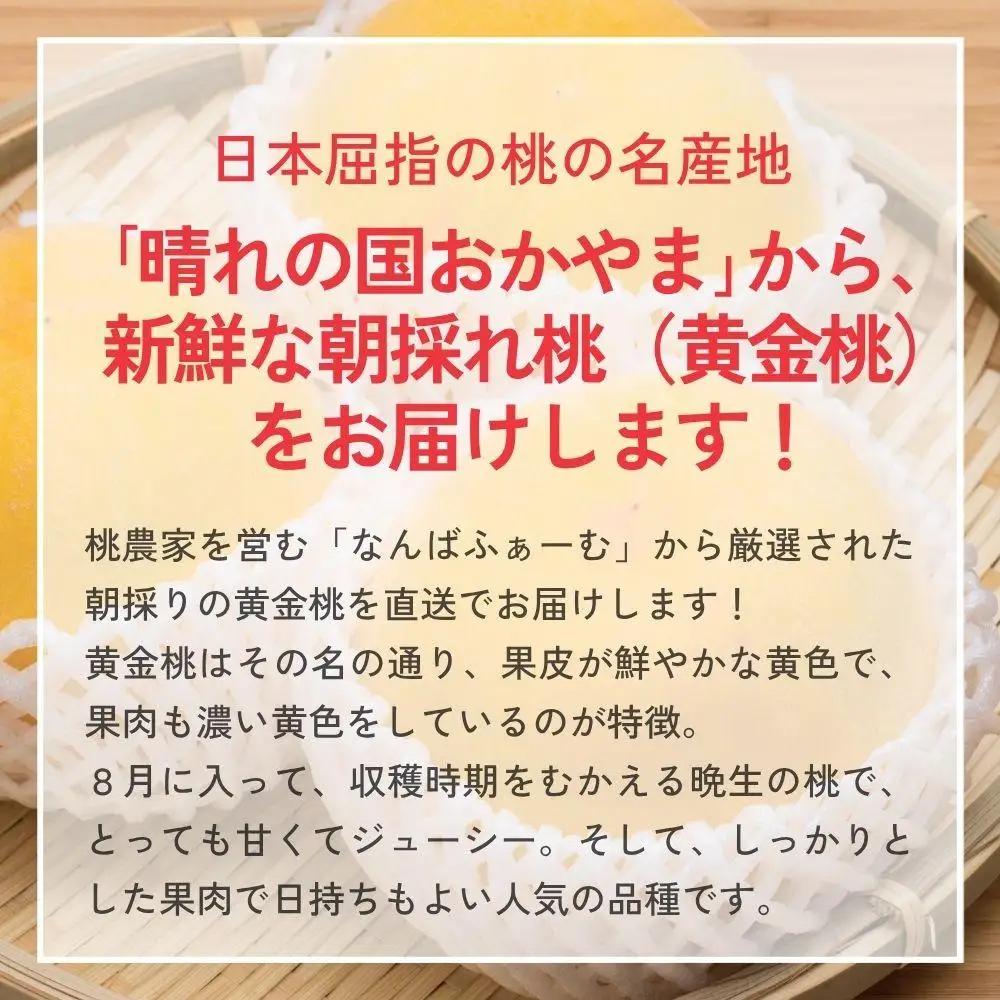 【2026年先行予約】［なんばふぁーむ］岡山県産 黄金桃 2.0kg（5～9玉）［ご家庭用］桃 もも モモ おうごんとう フルーツ 果物 朝採り旬 岡山県産 産地直送 産直 送料無料 鏡野町