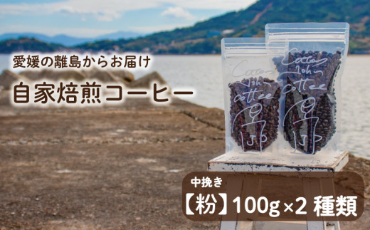 【中挽き】100g×2種類 おまかせ 自家焙煎コーヒー 選べる 自家焙煎 珈琲 コーヒー 愛媛県 松山市