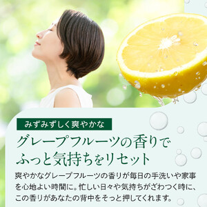【テレビで紹介されました！】バーデンス　ボディシャンプーB　500ml＆400ml(詰替え)