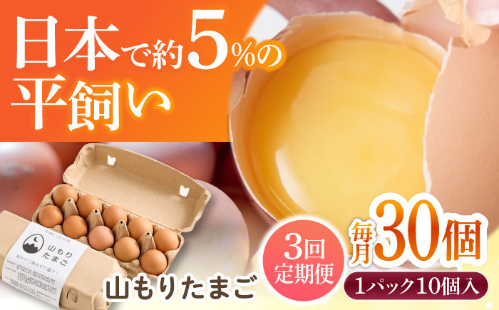 
                  【3ヶ月定期便】平飼い 山もりたまご 30個 安心安全 おいしさに感動 たまご 卵 高級卵 平飼い 安心安全 飼料にこだわり 成長剤 ホルモン剤 添加物不使用 3回定期便
                