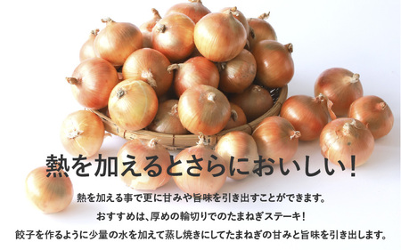 【先行予約】成井さんちの完熟たまねぎ5㎏　2025年収穫分