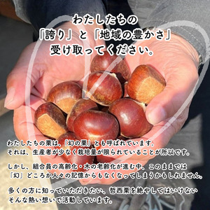 哲西栗（生栗）3kg 【先行予約 2026年10月から順次発送】