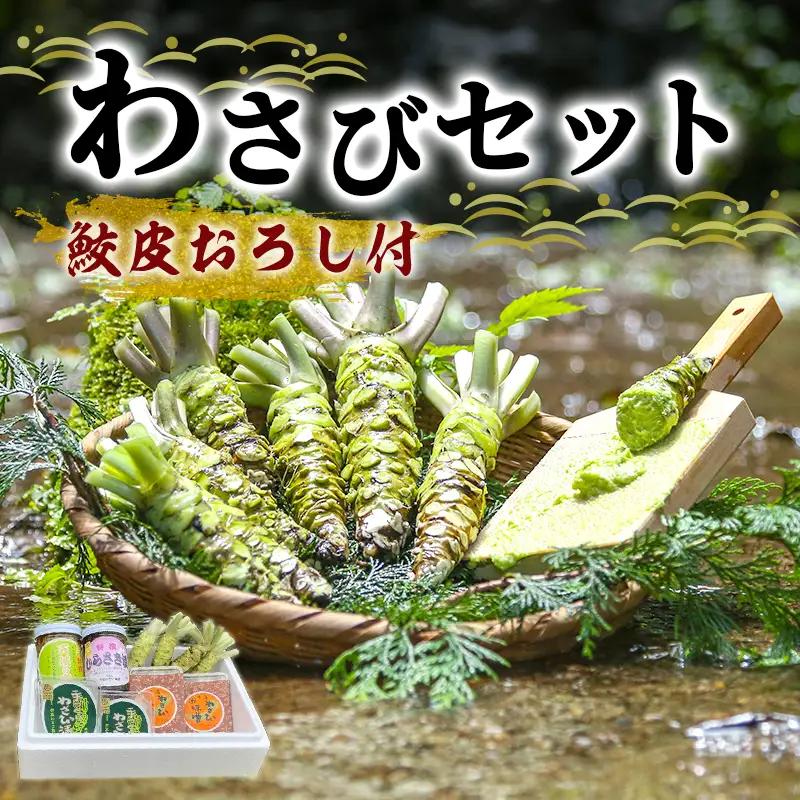 わさび 鮫皮おろし付 生わさび 4本 詰め合わせ セット わさび