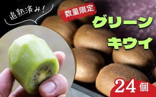 先行予約 限定 5箱 キウイ フルーツ (グリーン) 24個| グリーンキウイ キウイ フルーツ きうい ギフト 季節 果物 くだもの フレッシュ 新鮮 国産 直送 産地直送 農家直送 ヘイワード 緑 緑色 みどり ミドリ グリーン ビタミン 五味農園 埼玉県 北本市