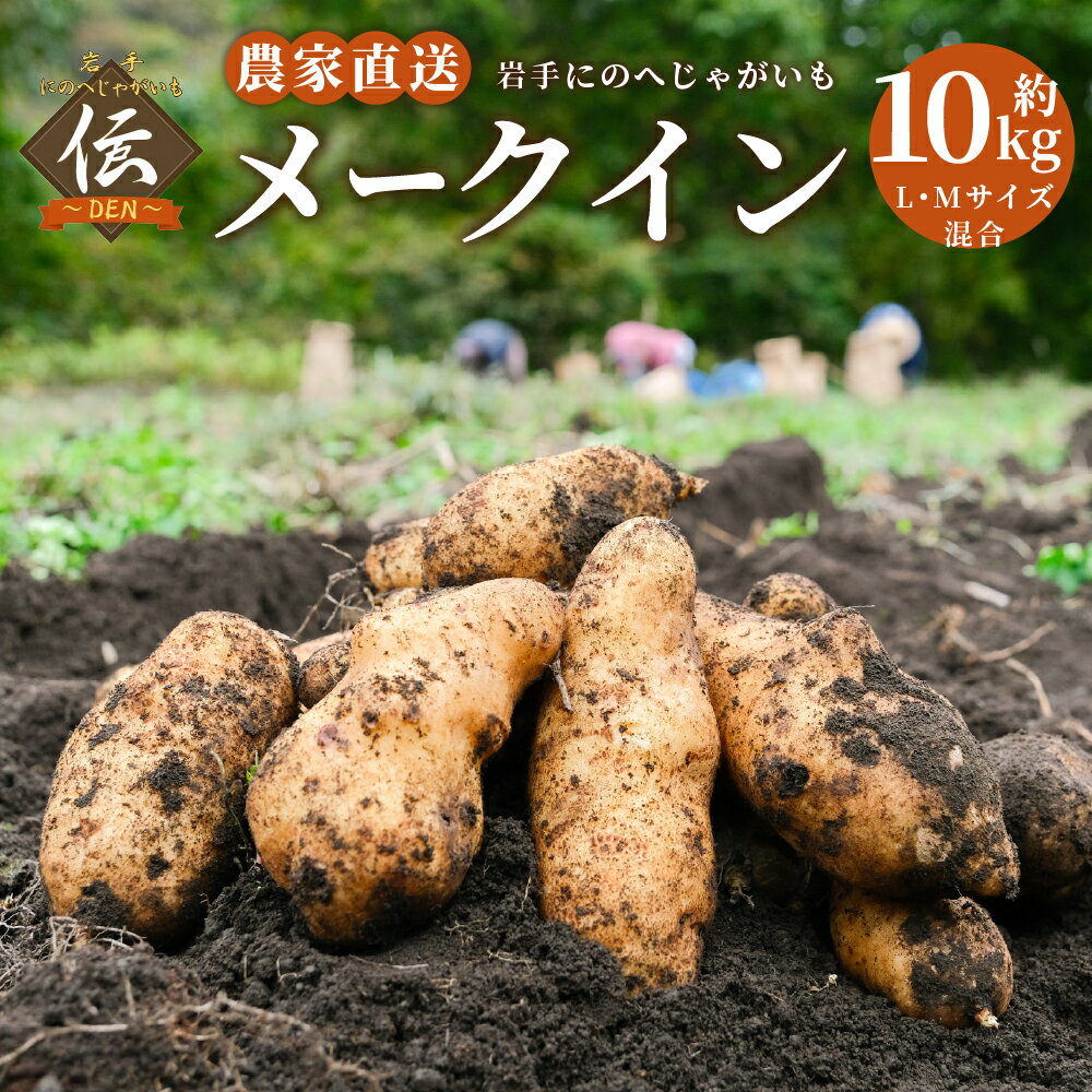 【ふるさと納税】厳選品 岩手にのへじゃがいも「伝」 メークイン 約10kg L・Mサイズ混合 じゃがいも 芋 じゃが芋 野菜 二戸市産 岩手県産 国産 送料無料【2026年9月中旬から2027年2月下旬発送予定】