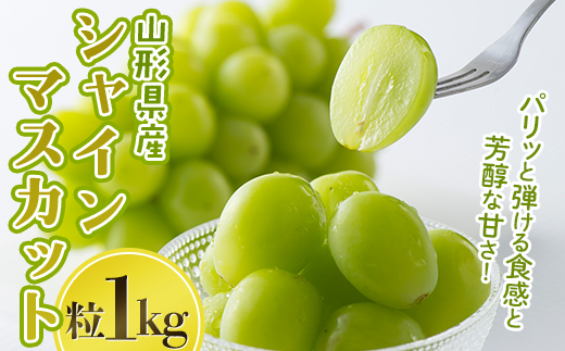 FYN6-638 山形県産 大粒ぶどう シャインマスカット 粒 1kg 種無し 葡萄 ぶどう ブドウ マスカット 果物 くだもの フルーツ 自宅 家庭 山形県 西川町 月山