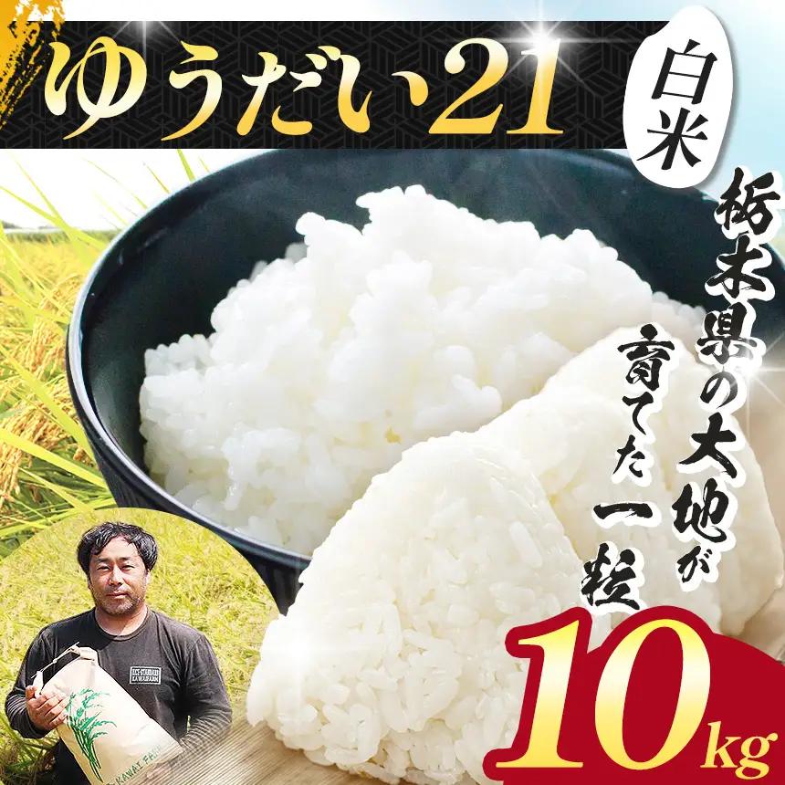 【先行予約】栃木県 下野市 ゆうだい 10kg 米