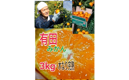 【ご家庭用】有田みかん  3kg （Ｓ～2Ｌサイズミックス）木成り完熟 大ちゃんの畑農園