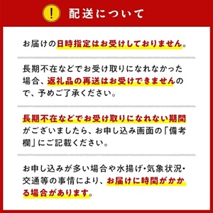 国産サーモン スモークサーモン 切り落とし 400g (40g×10P) 小分け パック 広島レモンサーモン [1950]