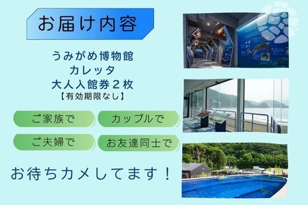 日和佐うみがめ博物館カレッタ入館券　【大人２名分】