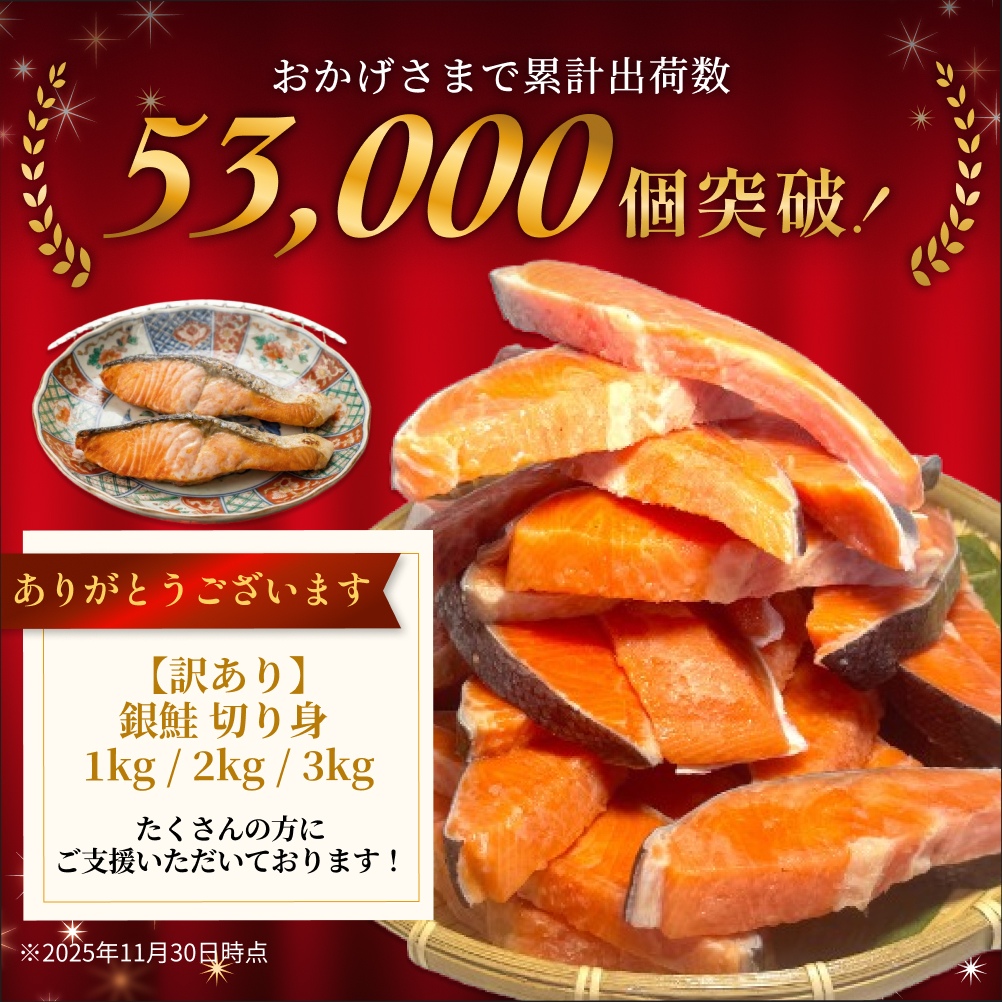 【訳あり】冷凍 銀鮭 切り身 2kg × 6回 定期便 毎月発送 数量限定 鮭 切り身 銀鮭 冷凍 切身 さけ サケ 鮭切身 シャケ 鮭切り身 訳アリ おかず 鮭切り身 サーモン 塩鮭 鮭切り身 焼き