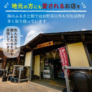 野菜【旬のお野菜大満足セット】【A8-040】