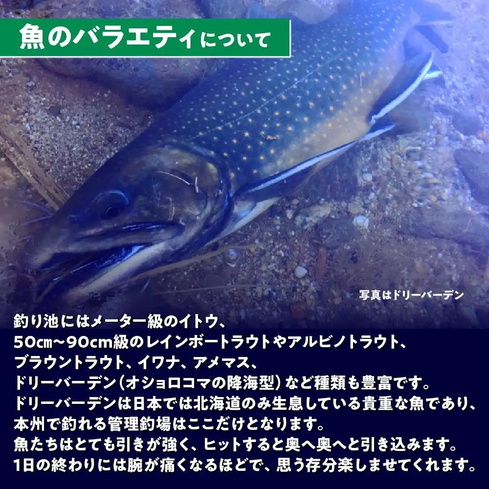 鹿島槍ガーデン釣りチケット引換券　大人女性1日券（1名様分） | つり アウトドア 長野 大町