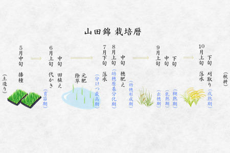 純米大吟醸　加須の舞　スパークリング