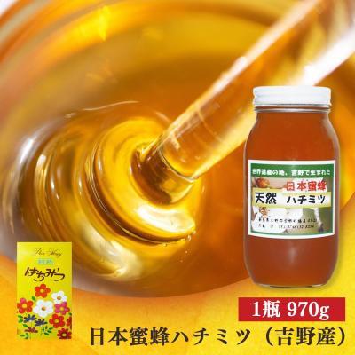 ふるさと納税 吉野町 日本蜜蜂ハチミツ970g |  | 01