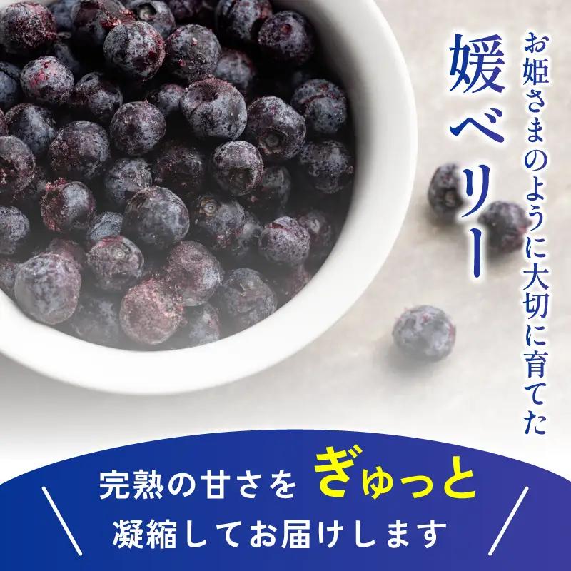 森のともだち農園 冷凍ブルーベリー 1kg