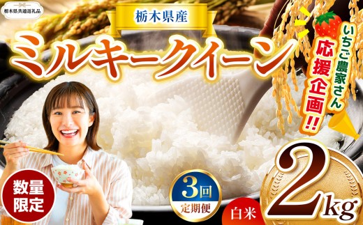 【栃木県共通返礼品】【先行予約】【定期3回】 訳あり 数量 限定 定期便 令和8年度産 ミルキークイーン 約 2kg | とちぎの星 ミルキークイーン  玄米 白米 ごはん おいしい  ふるさと納税 那珂川町 栃木県