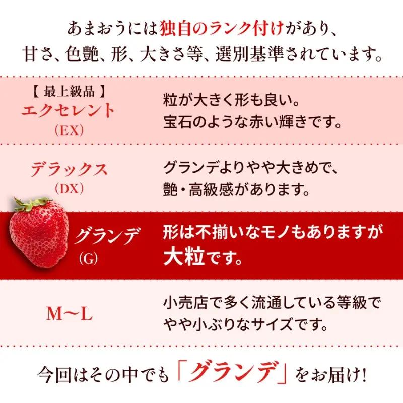 定期便 3ヶ月 福岡県産 あまおう 合計1500g 先行予約 2027年1月より順次発送 いちご イチゴ 苺 果物 3回 ※配送不可：離島