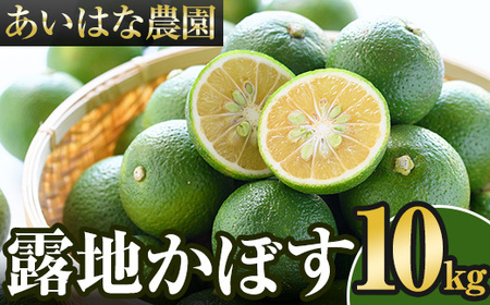 露地カボス(約10kg)かぼす カボス 柑橘 特産品 大分県産【107100802】【あいはな農園】