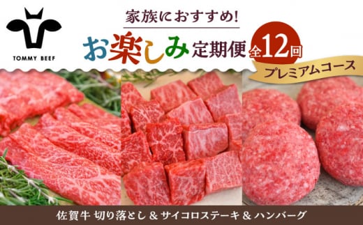 【牧場直送】【12回定期便】佐賀牛 家族向け お楽しみ 定期便【佐賀セントラル牧場】佐賀県産 牛肉 お肉 肉 切り落とし ステーキ ハンバーグ 九州 佐賀県 白石町 [IAH220]