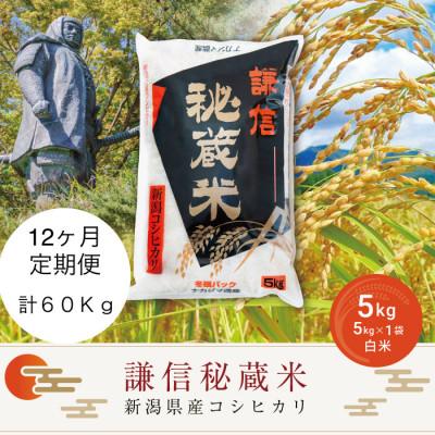 ふるさと納税 上越市 【毎月定期便】謙信秘蔵米5kg全12回