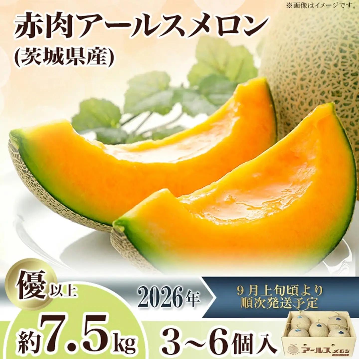 メロン 赤肉 茨城県産 R8年産 アールスメロン 約7.5kg 3～6個