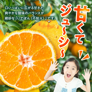 S086-002A_井手尾さん家の濃厚いでぽん 不知火 約5kg 柑橘〈先行予約〉