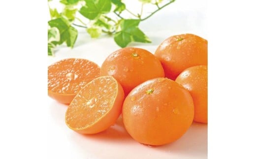 佐賀みかん はまさき2.5kg化粧箱入り 214-B919