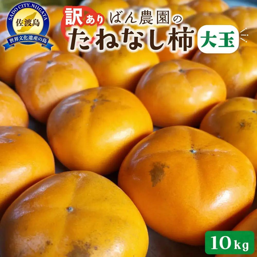 柿 たねなし柿 10kg 訳あり 大玉