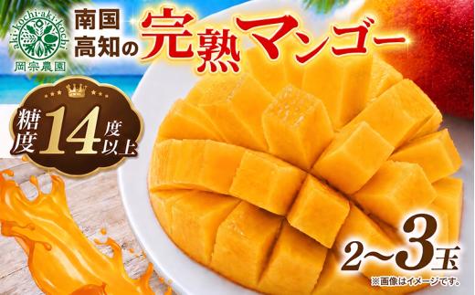マンゴー 完熟 高糖度 14度以上 2玉 ～ 3玉 完熟収穫 南国 フルーツ トロピカルフルーツ トロピカル 果物 くだもの 産地直送 季節限定 期間限定 旬 限定 高糖度 南国フルーツ 南国マンゴー まんごー mango スイーツ デザート プリン ケーキ スムージー 国産 マンゴー メリーガーデン 先行予約 アップルマンゴー アーウィン ギフト お中元 贈答用 岡宗農園 夏 安芸市 高知県